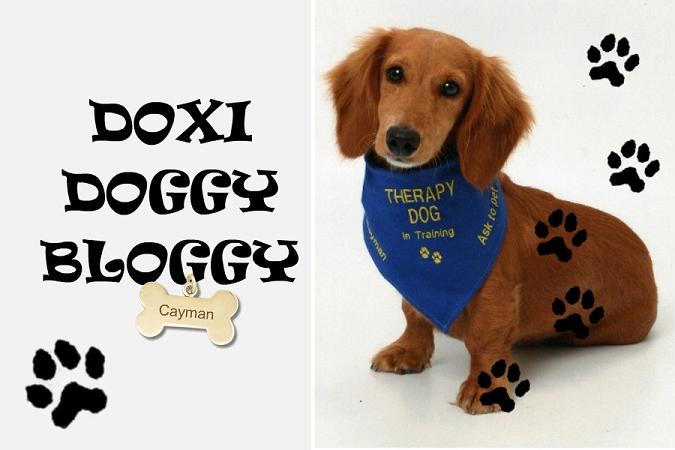 Doxi Doggy Bloggy