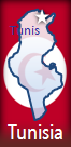 Tunisia's shape and flag