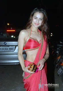 Amisha Patel in Red Saree 01