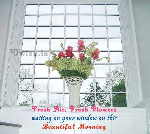 Good Morning wishes and greetings with a beautiful pot on the window.