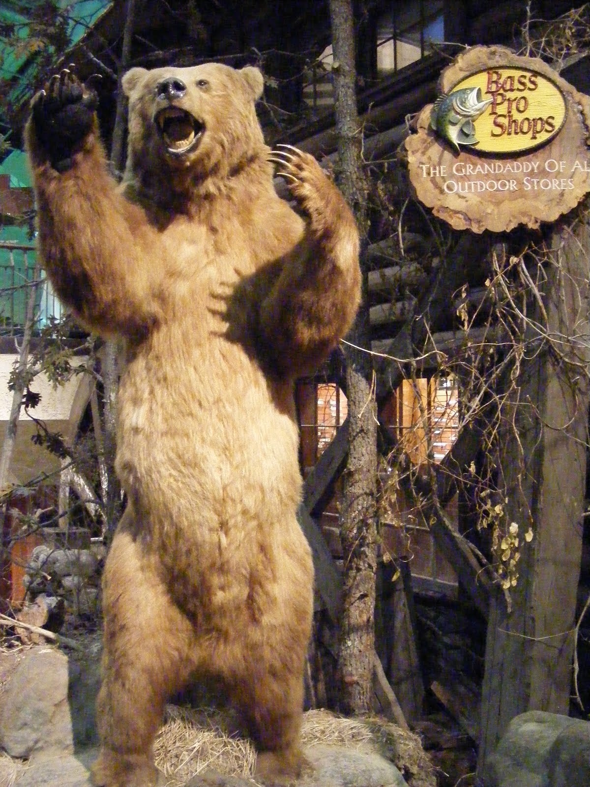 mickyf-s-adventures-bass-pro-springfield