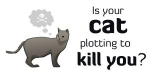 ¿está tu gato planeando matarte?