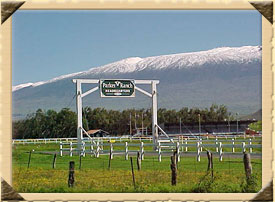 [Parker+Ranch+with+Snowy+Volcano.jpg]