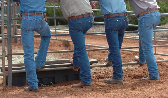 [Cowboys+butts.jpg]