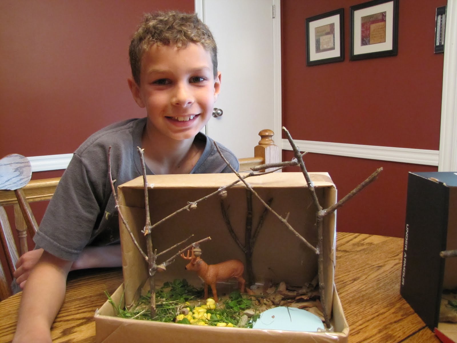 Thank You for Visiting our Family Blog! Building an Animal Habitat