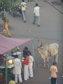 new kids das auto manta in gr