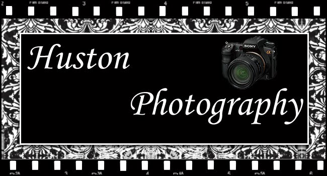 Huston Photography