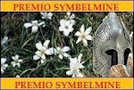 Prêmio Symbelmine