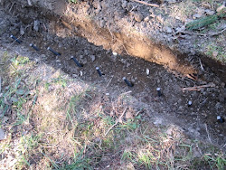 fence chicken animals coop rebar keep under fenced secured trench wire digging