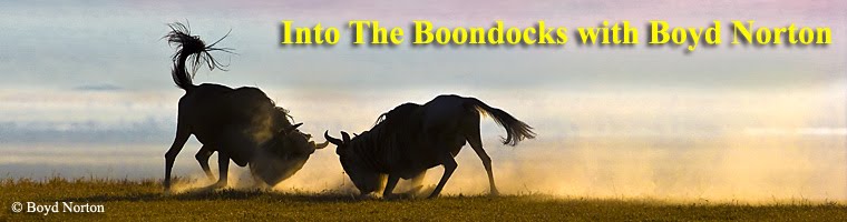 Into the Boondocks With Boyd Norton