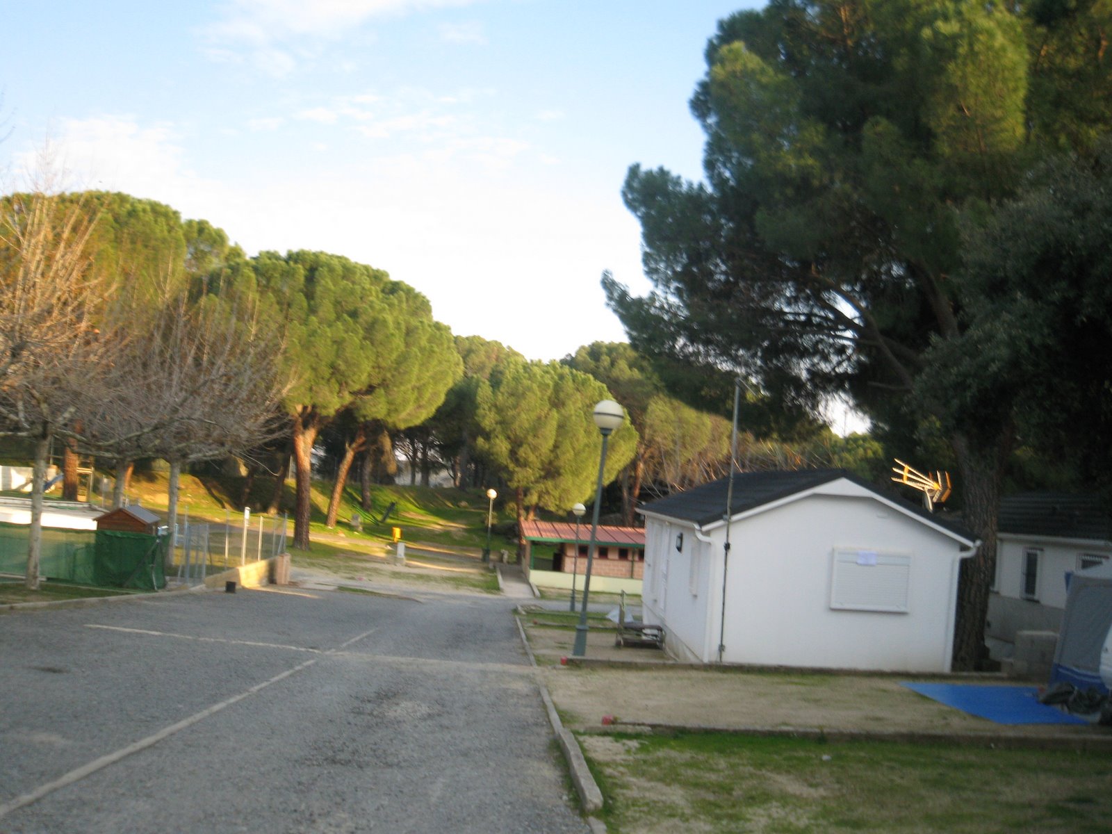 [la+ardilla+roja+1.JPG]