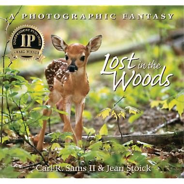Book Review of Lost in the Woods, by Carl R. Sams II and Jean Stoick at ...