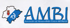 AMBI-Asociación de Minusválidos Físicos del Bierzo