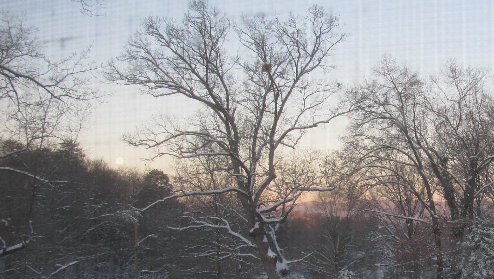 [Jan+snow+morning.jpg]