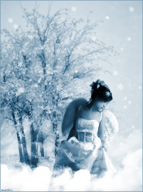 Белым снегом стать. А мне бы просто снегом стать. Аватар зима. Группа жин жин. Снегом стать какого года.