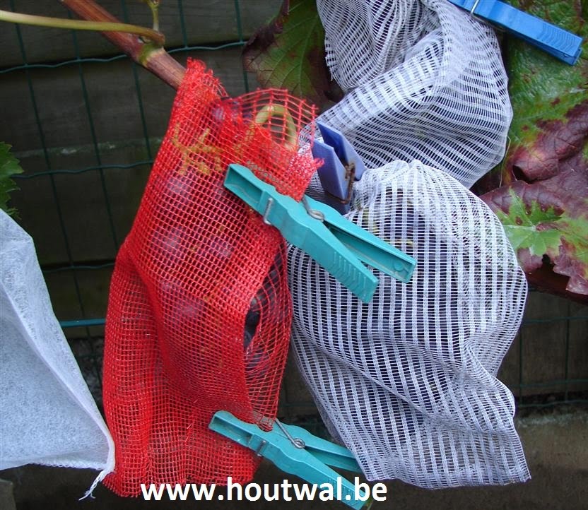 100 Stuks Organza Zakjes, Fruit Beschermzakjes, Druif Beschermzakjes Voor Cadeauverpakking Snoepverpakkingen Om Insecten Te Voorkomen 30x20cm
