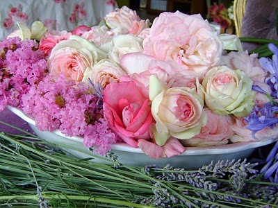 [Enero+27,+2010+143.jpg]