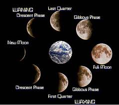 Daniela's class: Phases of the Moon