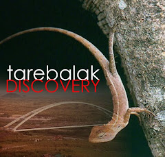 Tarebalak Discovery