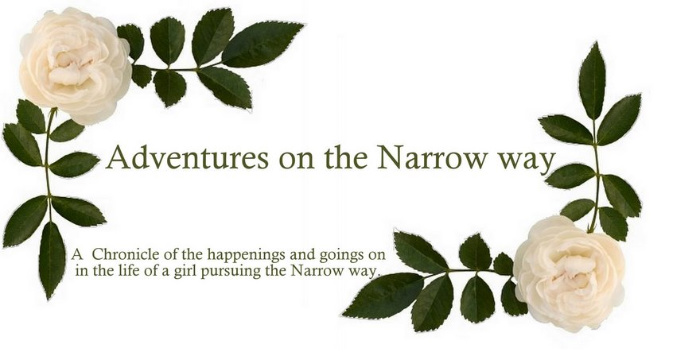 Adventures on the Narrow Way