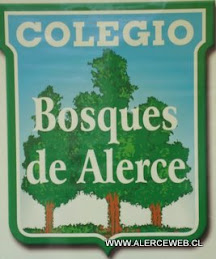 COLEGIO BOSQUES DE ALERCE