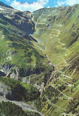 Glorius Stelvio