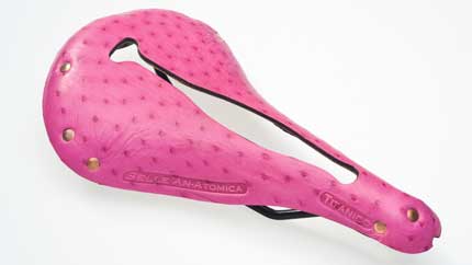 ale master bib shorts