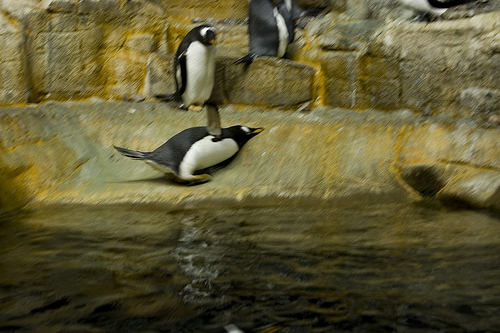 [148565066_7c45c35ee1.jpg]