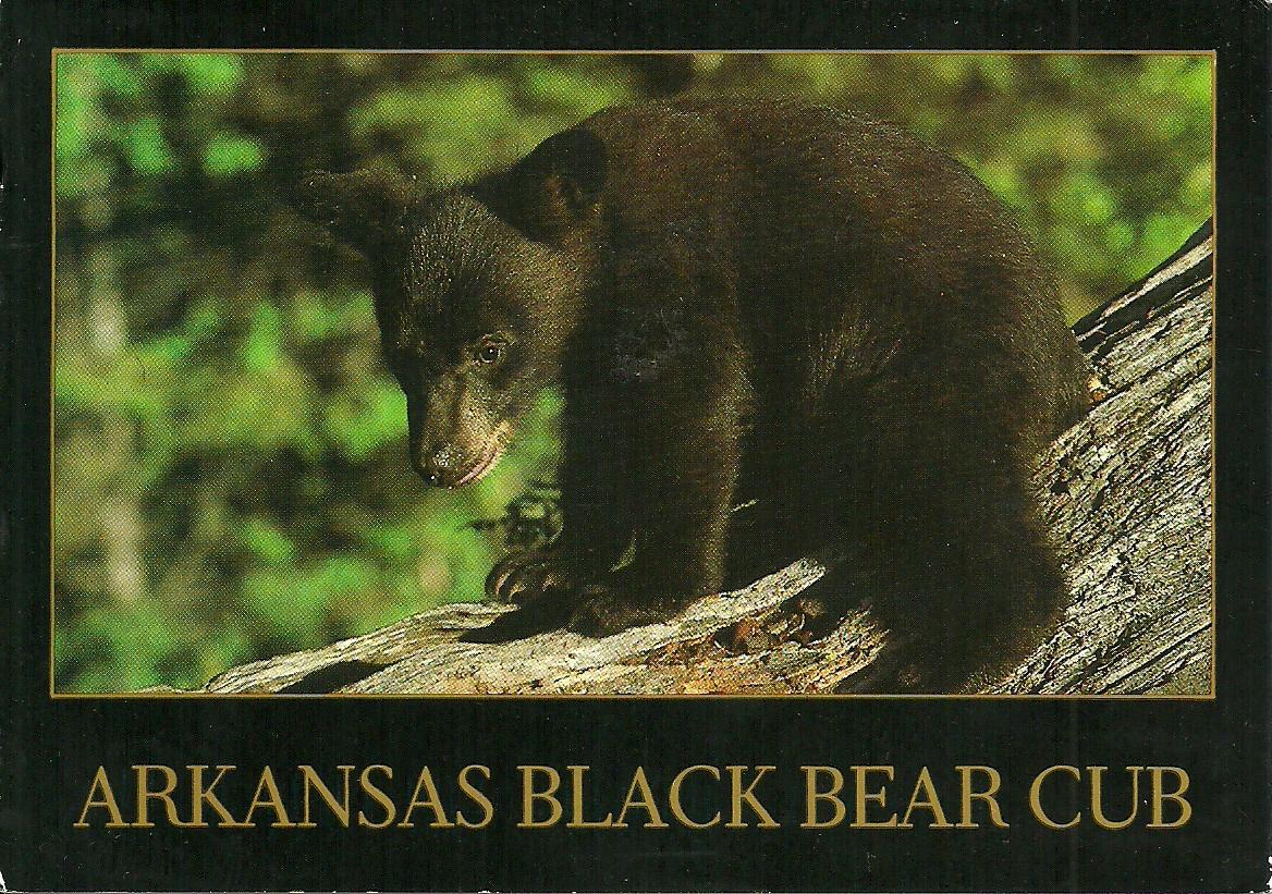 Projek Satu Dunia (One World Project)™ USA Arkansas Arkansas Black