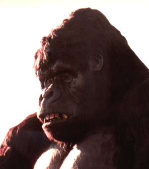 Imagem do rosto do King Kong, cabisbaixo.