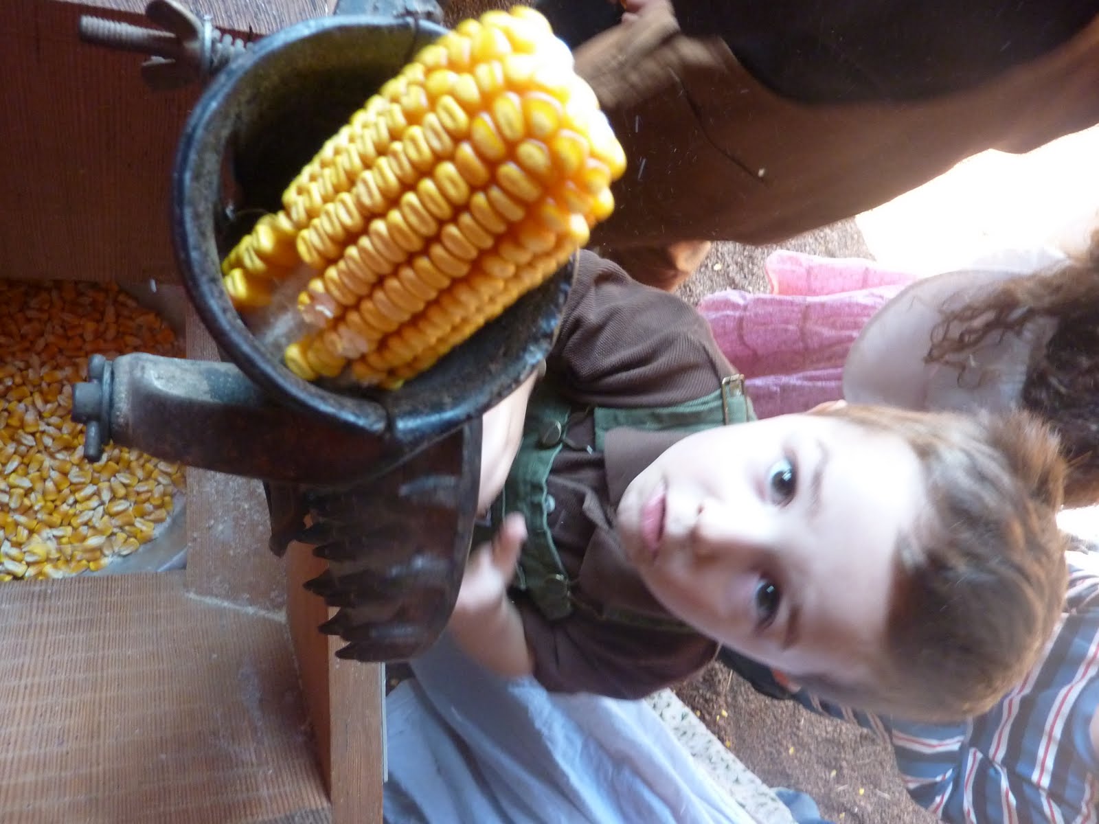 [P1000694.JPG]