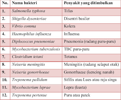 Contoh Bakteri Yang Menyebabkan Penyakit Pada Manusia Adalah