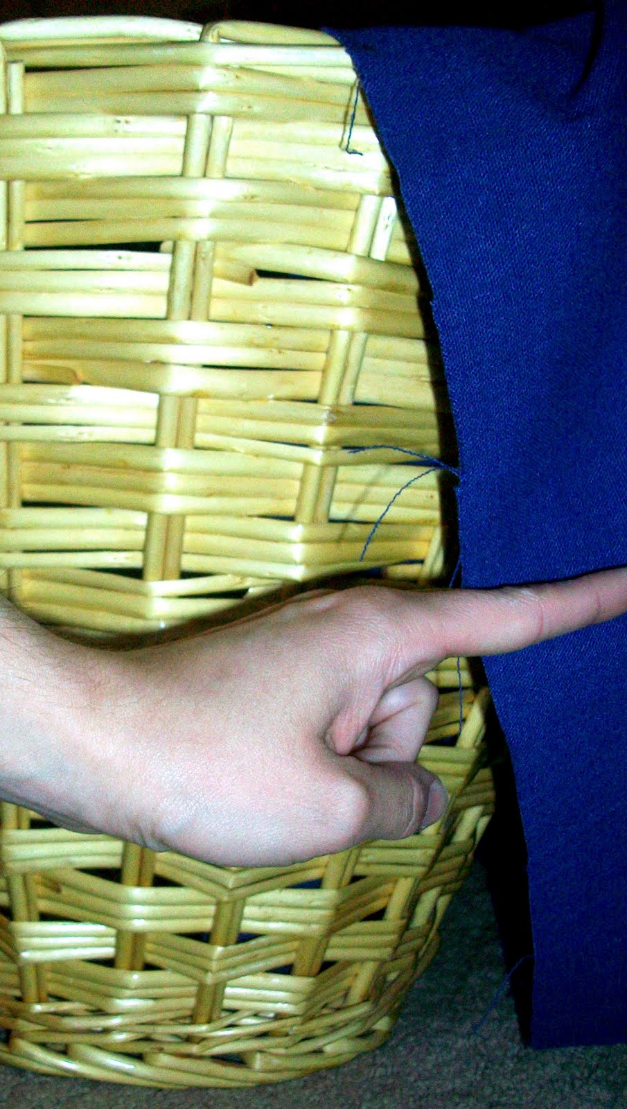 Delight Inspired Round Basket Liner Tutorial