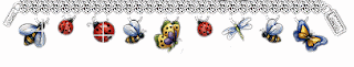 b5-butterflies-759145.gif