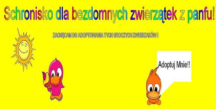 Schronisko dla bezdomnych zwierzątek z panfu!