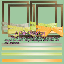 CITRUS RIBBON FRAMES