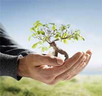 [plantio_arvore.jpg]