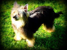 Our Slovakian Import, Franco
