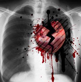 [COL14-20080805192531.jpg]