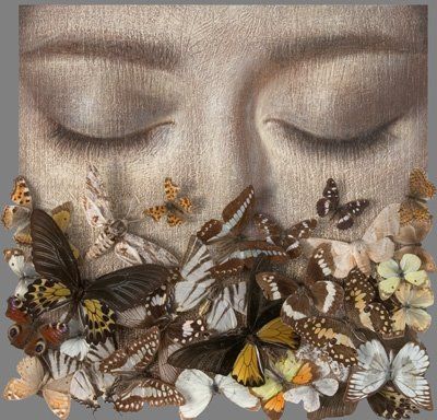 [borboletas2.jpg]