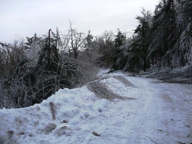 [Icy+Road.jpg]