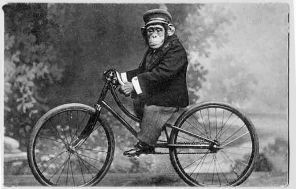 [monkey_on_bicycle_vintage_121675737.jpg]