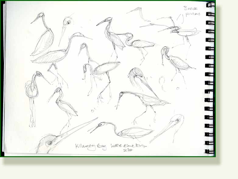 [heron+sketches.jpg]