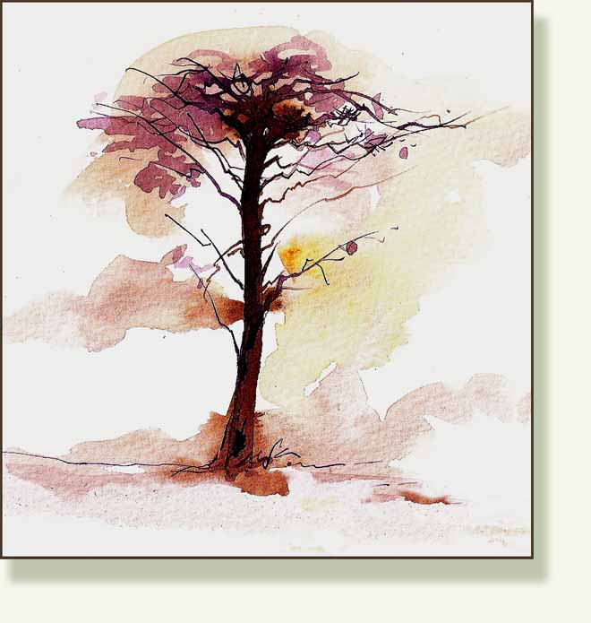 [tree2.jpg]