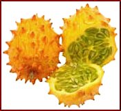 [kiwano_melon.bmp]