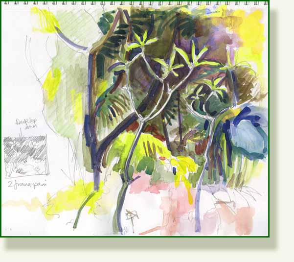 [fran2.jpg]