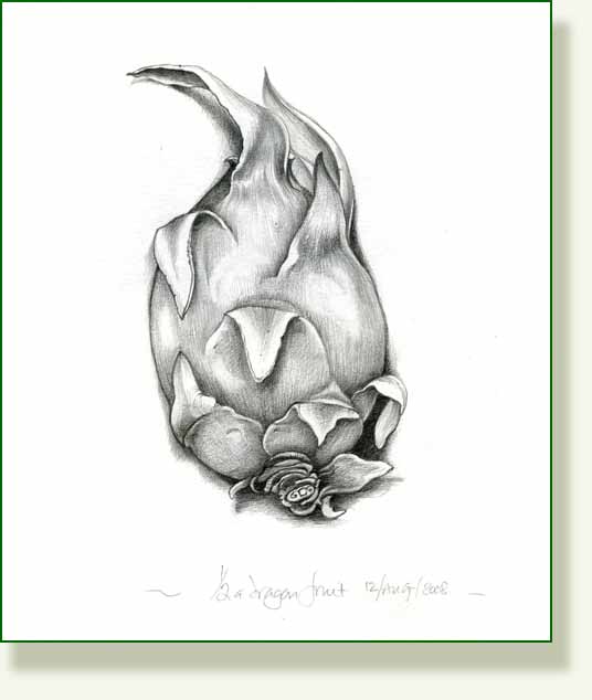[dragon+fruit+half.jpg]