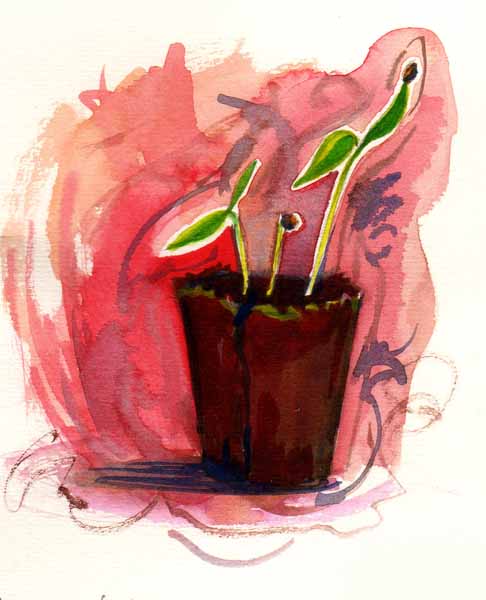 [seedlings.jpg]