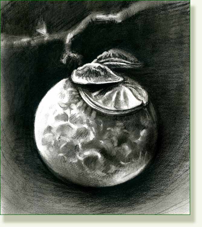[soapberry+charcoal.jpg]