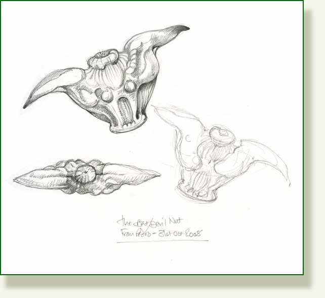 [bat+nut.jpg]